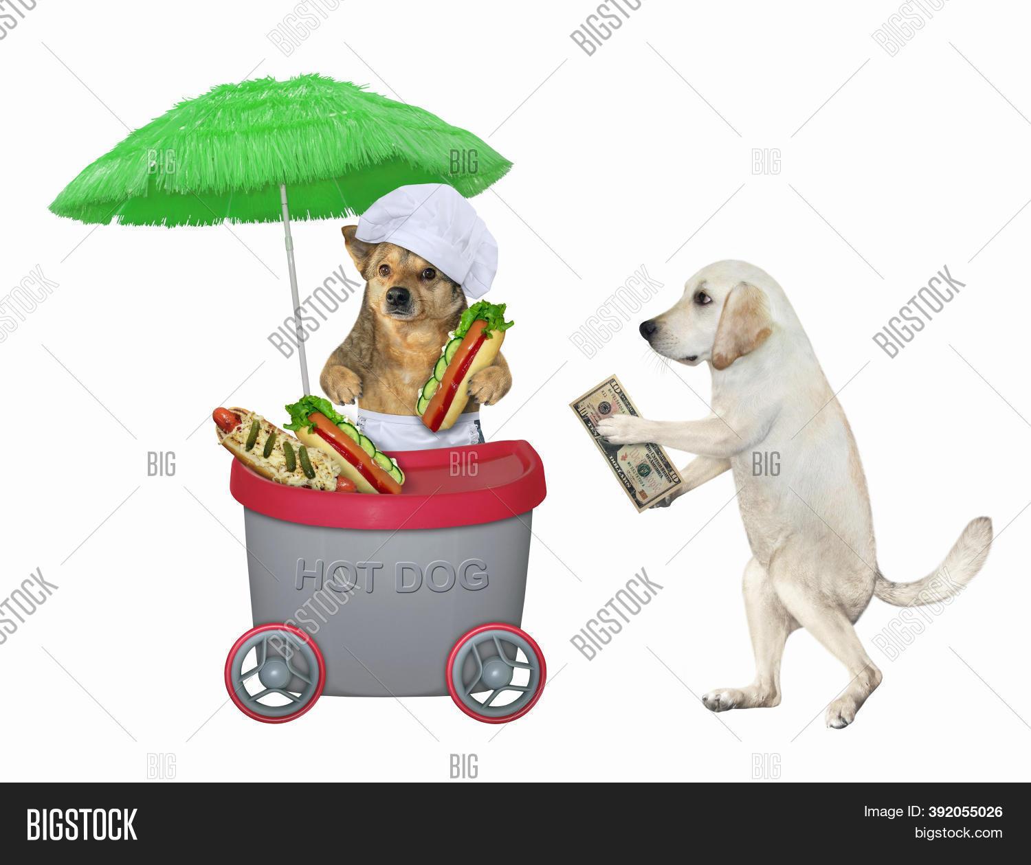 Dog Buys Hot Dogs Mini Image & Photo (Free Trial) Bigstock