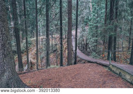 A Suspension Bridge In The Middle Of The Forest. An Old Wooden Suspension Bridge Of Ropes Lies Among