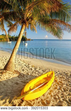 Sea Kayak On The Beach Near Palm Tree, Nacula Island, Yasawas, Fiji