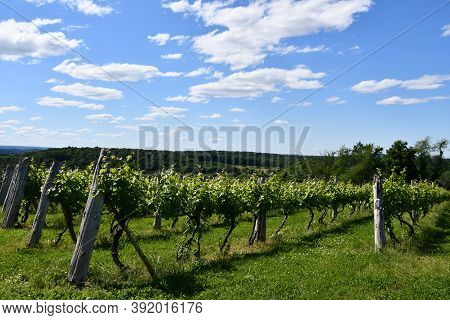 Wallingford, Ct - Jun 13: View From Gouveia Vineyards In Wallingford, Connecticut, As Seen On Jun 13