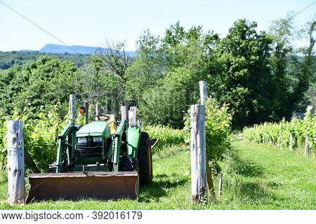 Wallingford, Ct - Jun 13: View From Gouveia Vineyards In Wallingford, Connecticut, As Seen On Jun 13