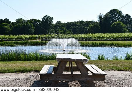 Clinton, Ct - Jul 4: Chamard Vineyard In Clinton, Connecticut, As Seen On July 4, 2020.