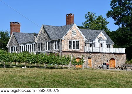 Clinton, Ct - Jul 4: Chamard Vineyard In Clinton, Connecticut, As Seen On July 4, 2020.