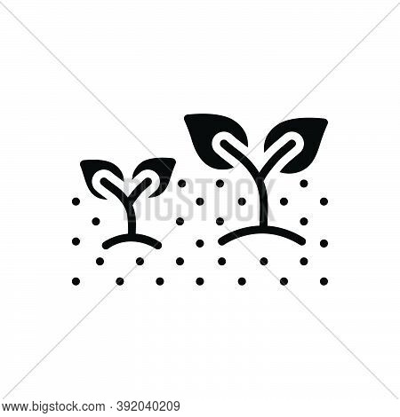 Black Solid Icon For Growing Plant Soil Agriculture Botany Increase-in-size Burgeoning Developing Sp