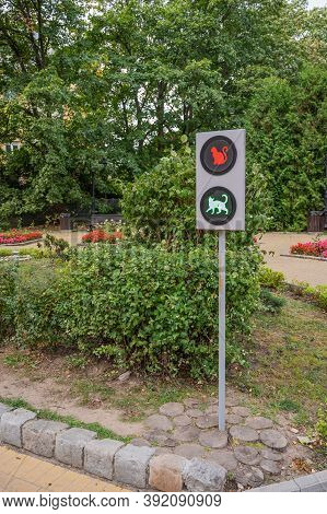 Traffic Light In The Park Symbols Of Cats On The Emitters, Zelenogradsk, Russia, Vertical Orientatio