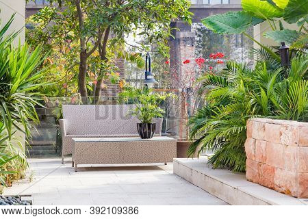 Small backyard area with cane chair and table surrounded by  evergreen plants in a summer garden