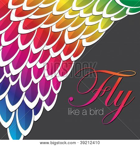 Feather Background