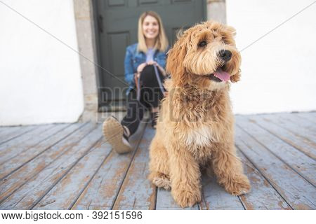 Labradoodle Dog And Woman Outside On Balcony