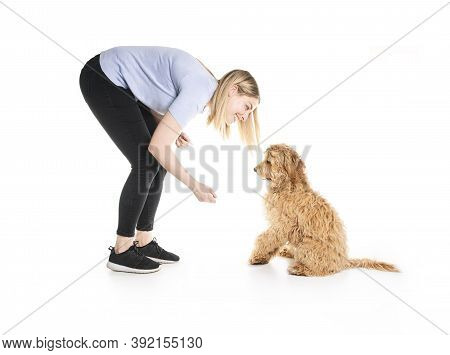 Trainer Woman With His Golden Labradoodle Dog Isolated On White Background