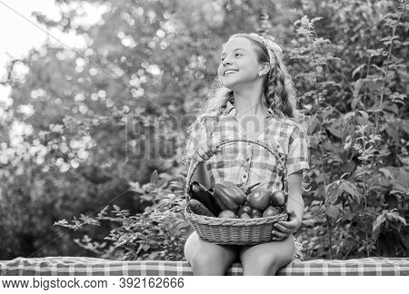 New Food. Healthy Food For Children. Kid On Summer Farm. Organic Food. Little Girl Vegetable In Bask