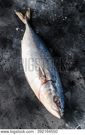 Raw Japanese Yellowtail. Fresh Fish Amberjack. Black Background. Top View