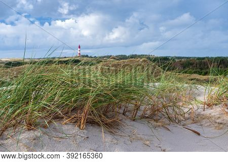 Coastal Scene On Amrum Island, Germany. In The Background The Lighthouse Of Amrum. Amrum Is One Of T