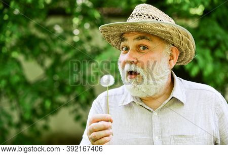 Harmony Of Soul. Peaceful Grandpa Blowing Dandelion. Happy And Carefree Retirement. Mental Health. P