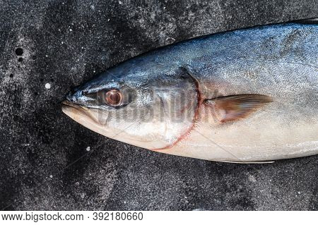 Fresh Whole Raw Japanese Yellowtail. Fish Amberjack. Black Background. Top View