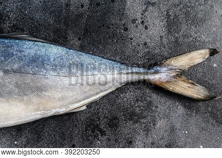 Fresh Whole Raw Japanese Yellowtail. Fish Amberjack. Black Background. Top View