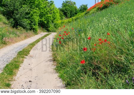 Dirt Road Along A Green Meadow At Summet