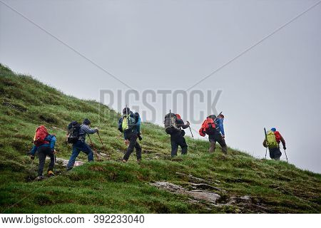 Male Travelers With Backpacks Walking On Grassy Hill. Group Of Active People With Trekking Sticks Cl