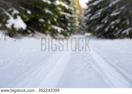 Footprints In The Snow For Cross-country Skiing