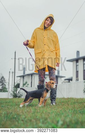 raincoat for beagle