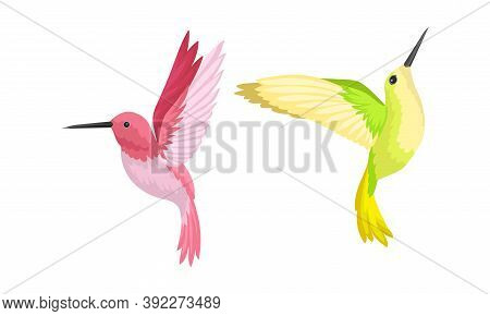 Hummingbirds As Small Bird With Beating Wings And Bright Plumage Vector Set