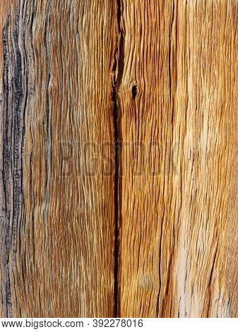 Textured Background Of Broken Conifer Trunk. Lengthwise Cut Of A Log. Close-up Dried Out And Cracked
