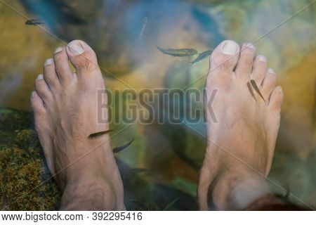 Young Man Having Antimony Fish Spa Therapy And Foot Massage In Waterfall.