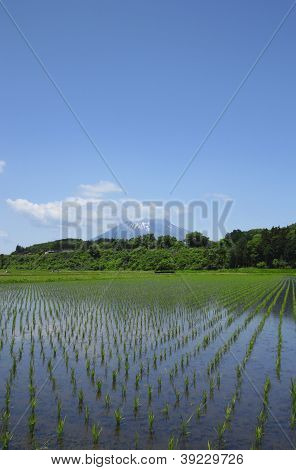 Mt.iwate And Pastoral Landscape