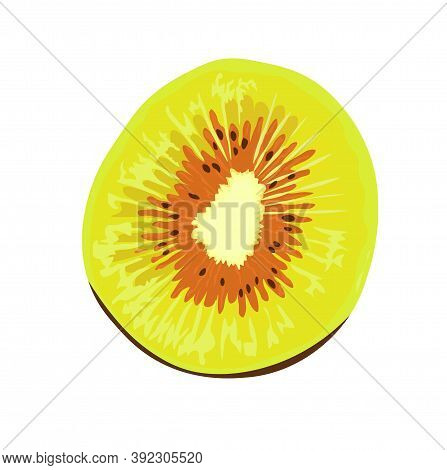 Kiwi Red Vector Stock Close-up Illustration. Green Kiwi Hybrid. Exotic Fruit, Tropical Delicacy. Iso