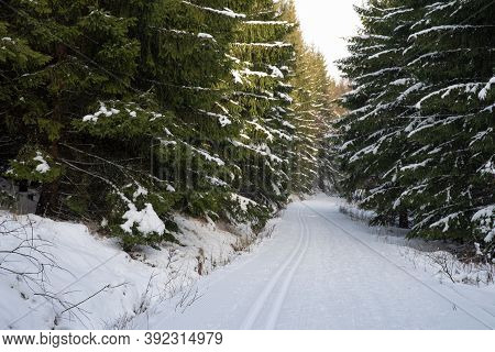 Footprints In The Snow For Cross-country Skiing
