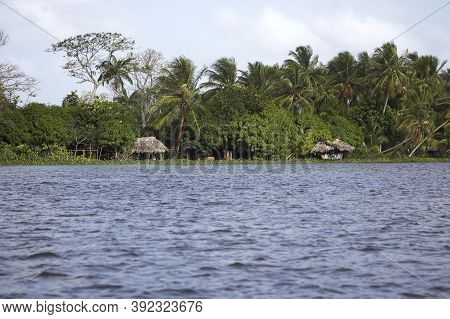 Orinoco Delta In Venezuela With House On Pile