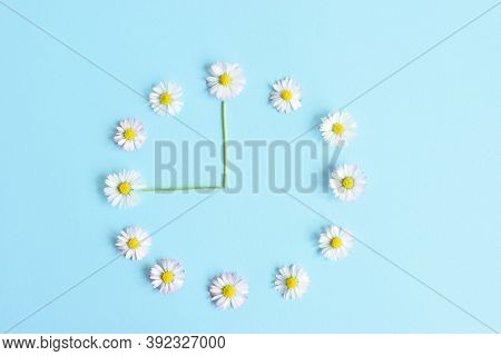 Wilde Blumen. Blumenuhr Aus Schönen Weißen Gänseblümchen Auf Hellblauem Hintergrund.light Blue Table