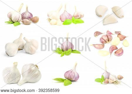 Collage Of Garlic Isolated On A White Background