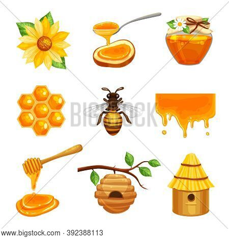 Honey Isolated Cartoon Icon Set With Various Elements Of Beekeeping And Bee Life Vector Illustration