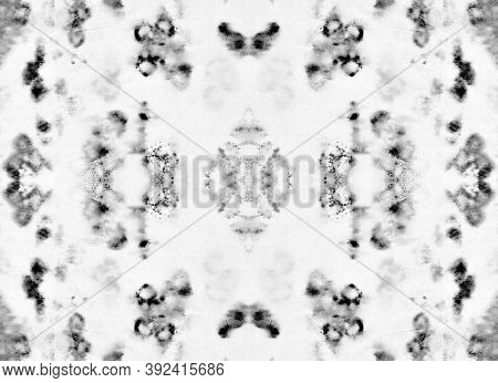 Seamless Snake Skin Pattern. Monochrome, Black And White. Trendy Zoo Background. Serpent Leather Wil