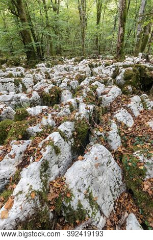 The Karstic Trail Of Malrochers From Jura In France