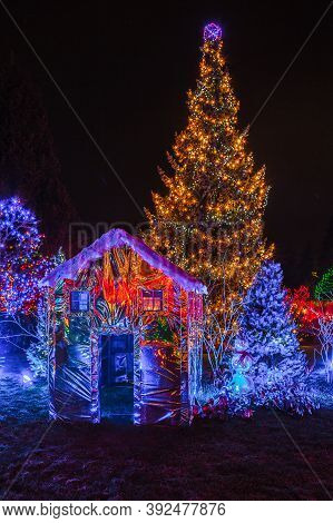 Christmas Illumination At Night  In The Garden, Blue, Red, Green Christmas Lights On Christmas Trees