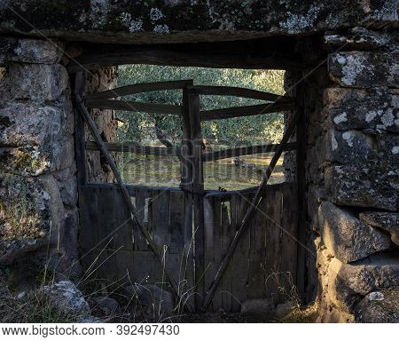 Old Door To An Olive Grove. Typical Architecture In Montanchez. Extremadura. Spain.