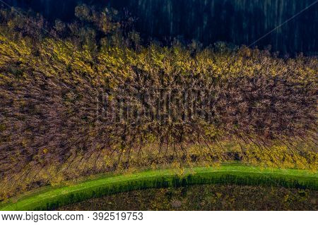 Aerial Top Down View Of Autumn Forest With Colorful Trees And River Kupa In Croatia