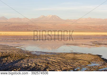 The Wonderful Colours Of Chaxa Lagoon