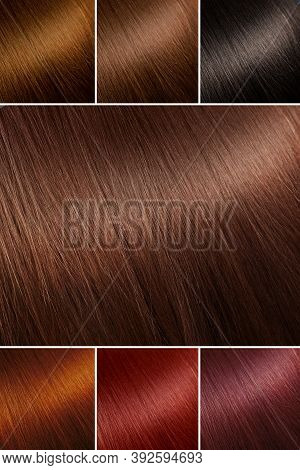 Color Chart For Tints. Hair Color Palette With A Wide Range Of Swatches. Example Of Different Hair C