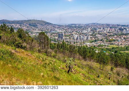 Vegetation And Porto Alegre Cityview From Morro Santana