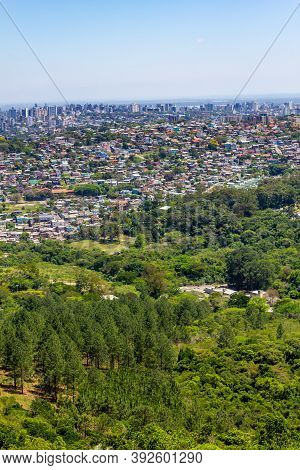 Vegetation And Porto Alegre Cityview From Morro Santana