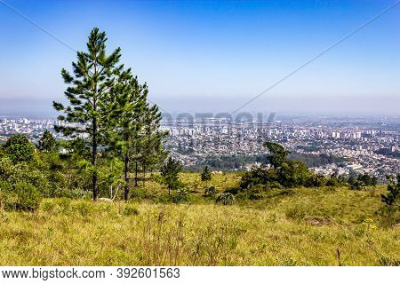 Vegetation And Porto Alegre Cityview From Morro Santana