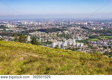 Vegetation And Porto Alegre Cityview From Morro Santana