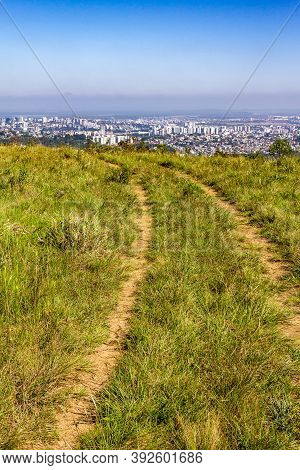 Vegetation And Porto Alegre Cityview From Morro Santana