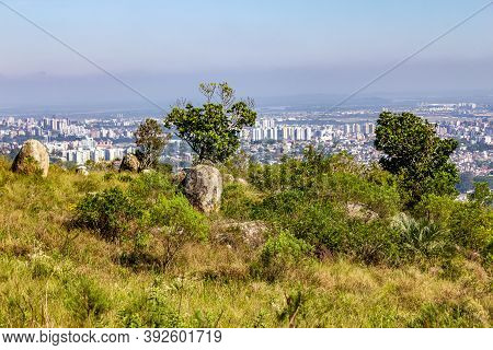 Vegetation And Porto Alegre Cityview From Morro Santana