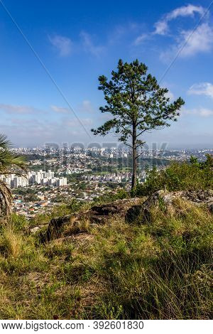 Vegetation And Porto Alegre Cityview From Morro Santana