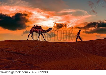 Cameleers, camel Drivers at sunset. Thar desert on sunset Jaisalmer, Rajasthan, India.