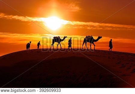 Cameleers, camel Drivers at sunset. Thar desert on sunset Jaisalmer, Rajasthan, India.