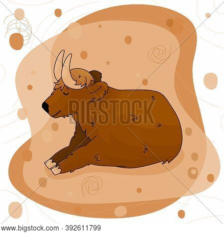 Cute Cartoon Bull High Land Cow Is Lying On The Ground On Pink And Brown Background